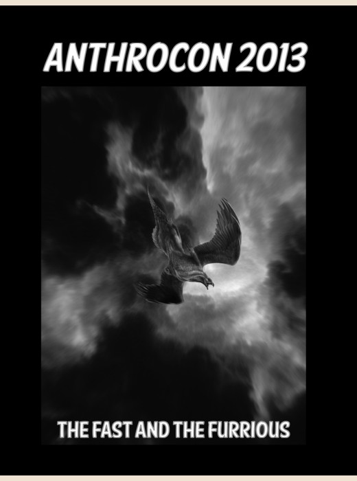 Cover for AC2013