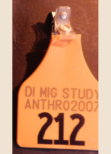 Fursuit Tag from AC2007