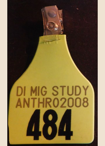 Fursuit Tag from AC2008