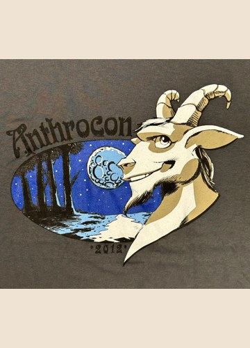T-Shirt from AC2012
