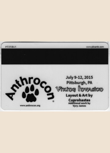 Preview of Door Key (back)